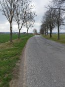 fotogalerie
